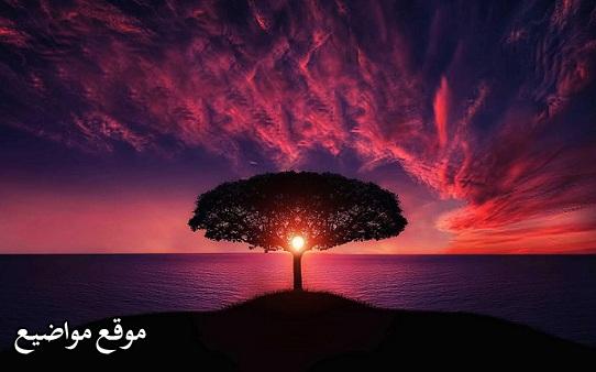 فوائد اذكار الصباح و المساء والمحافظة عليهم