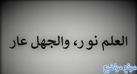 حكم وأقوال عن العلم والعمل قصيرة ومشهورة