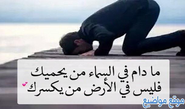 حكم وعبر مؤثرة عن الحياة والدنيا