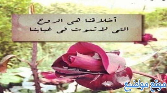 حكمة للاذاعة المدرسية عن الاخلاق