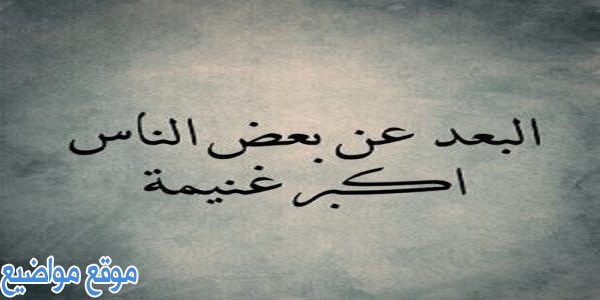 أمثال شعبية مصرية عن الندالة والغدر