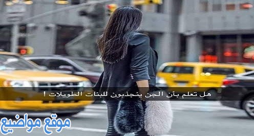 أمثال مضحكه عن البنت الطويلة