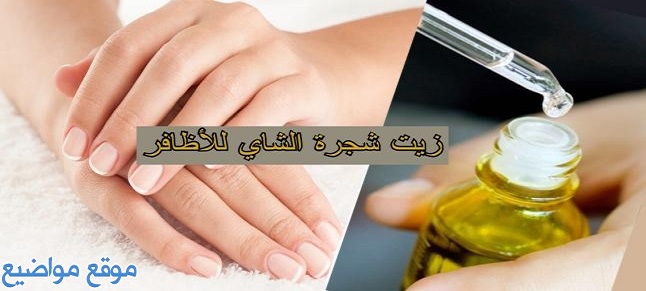 فوائد زيت شجرة الشاي للأظافر