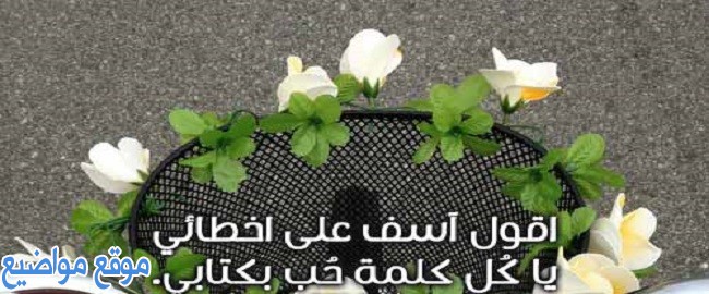 اشعار اعتذار للحبيب قوية اجمل شعر اعتذار للحبيب