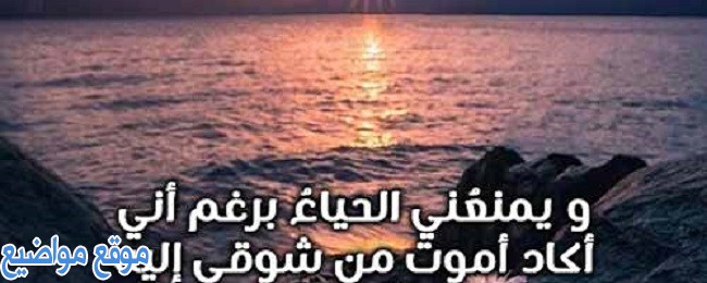 اشعار وقصائد شوق ولهفة ابيات شعر شوق ولهفة