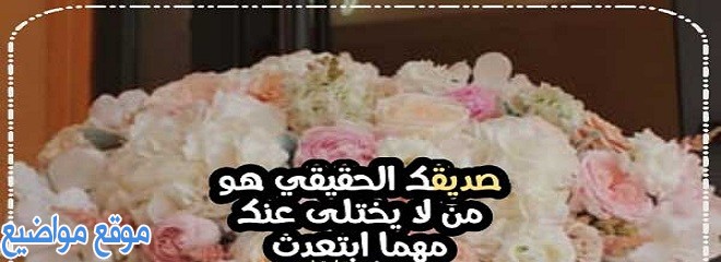 اقوى عبارات عن الصداقة وأجمل ماقيل عن الصداقة