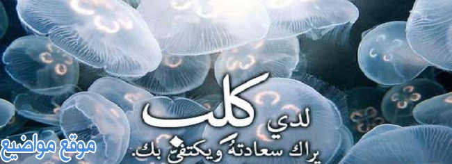 حالات واتس عراقية حزينة وحالات واتس اب عراقية قصيرة