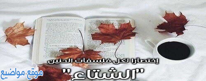 حالات واتس عن الشتاء والحب وحالات عن الشتاء للحبيب