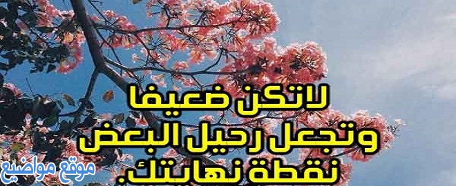 خواطر عن الرحيل والوداع اجمل خواطر الرحيل القصيرة