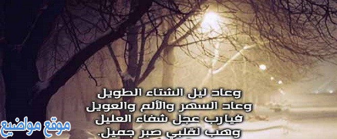 شعر عن الشتاء للحبيب ابيات شعر عن البرد الشتاء