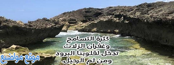 عبارات عن البرود في الحب وعبارات عن البرود والتطنيش