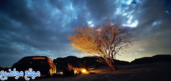 خواطر عن الليل والقمر وعبارات عن النجوم والقمر