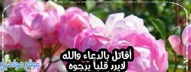 عبارات وكلمات جميلة لمجموعات الواتس