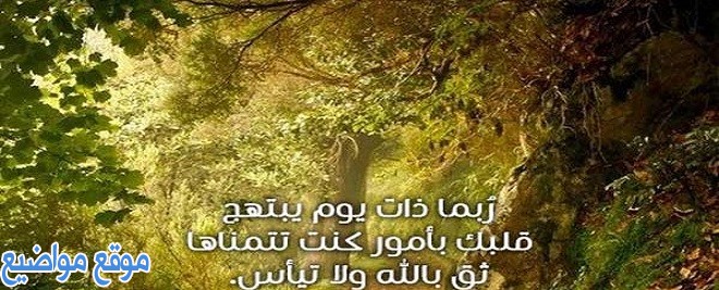 كلمات اسلامية مبكية أجمل عبارات دينية مبكية