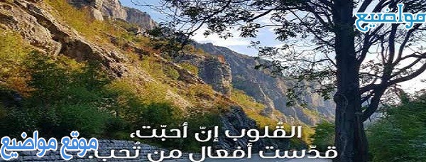 كلمات حزينة عن الفراق وكلمات عن الم الفراق