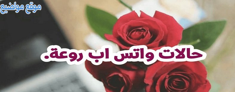 حالات جميلة علي الواتس آب حالات واتس آب مؤثرة قصيرة