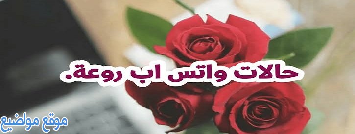 حالات حب للواتس اب قصيرة كتابة وعبارات قصيرة جميلة للواتس