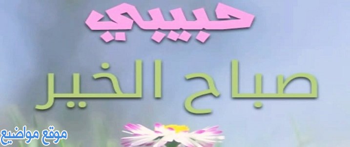 حالات صباح الخير حبيبي وحالات صباح الخير حبيبتي