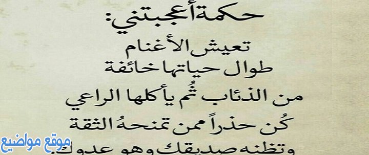 حالات واتس اب حكم قوية وحالات واتس اب حكم وأمثال قصيرة