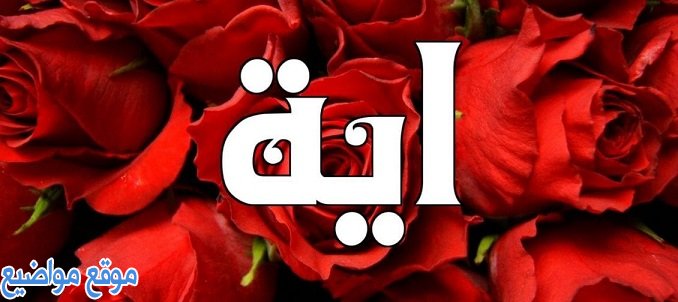 معنى اسم آية Aya وحكم تسمية آية في الإسلام