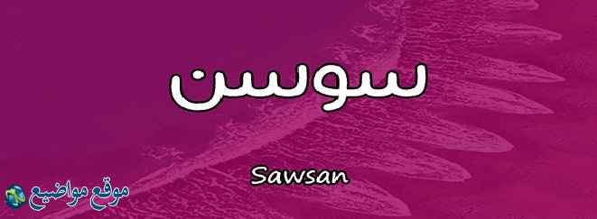 معنى اسم سوسن في القران والاسلام معنى اسم سوسن بالانجليزي