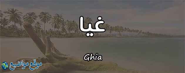 معنى اسم غيا في القرآن والإسلام ودلع اسم غيا Ghia