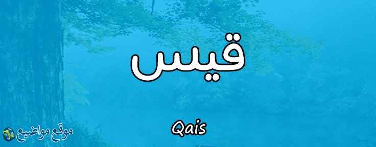 معنى اسم قيس في القرآن والإسلام وصفات حامل اسم قيس Qais