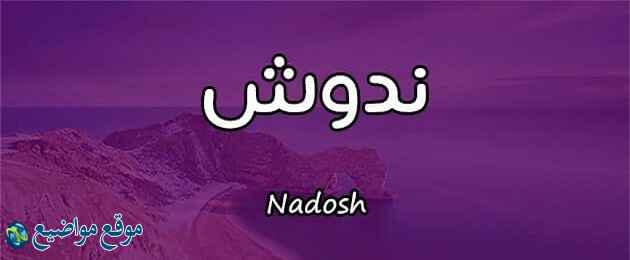 معنى اسم ندوش Nadosh وصفات حاملة اسم ندوش